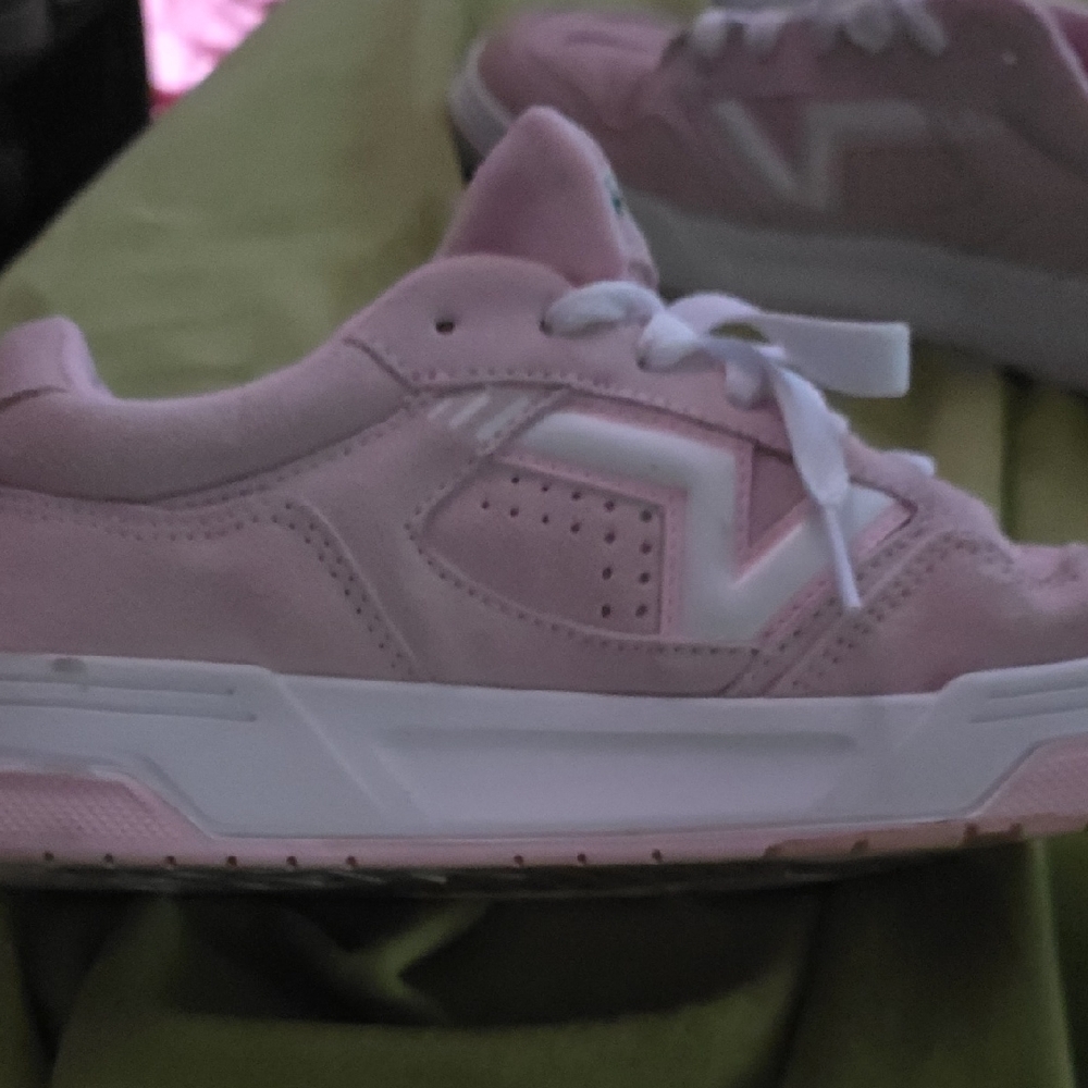 Vans Skateboard Shoes